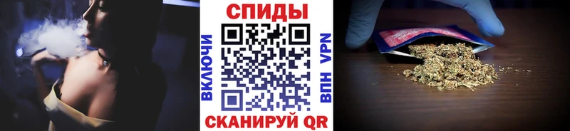 кракен сайт  Мураши  Бутират буратино 