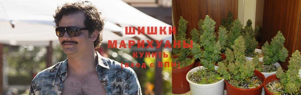 стаф Няндома