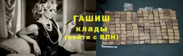 хмурый Алексин