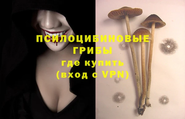 mdpv Нязепетровск