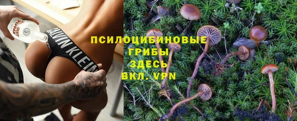 герыч Алзамай